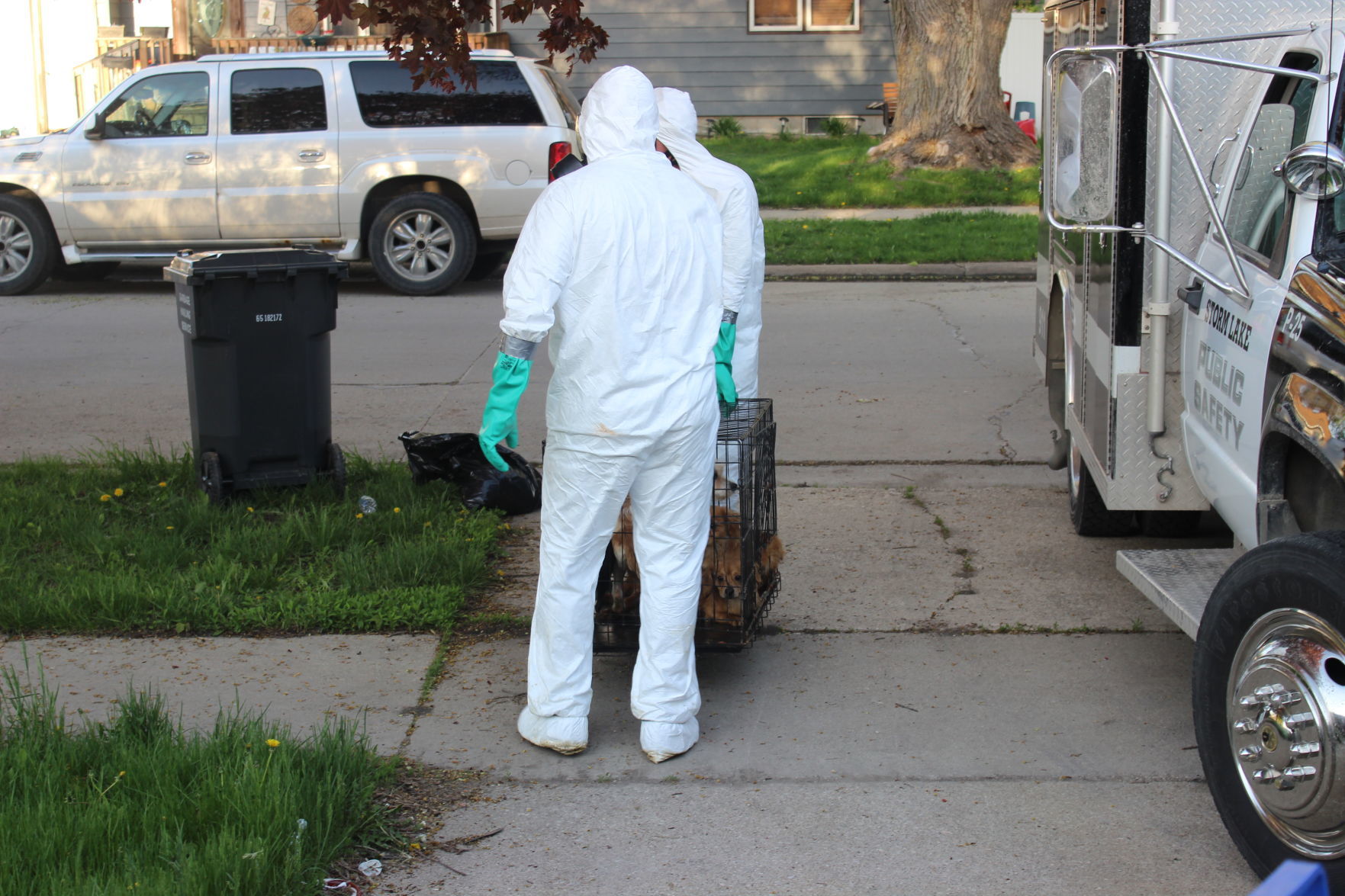 Storm Lake animal control